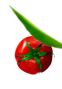 Pide Deryası