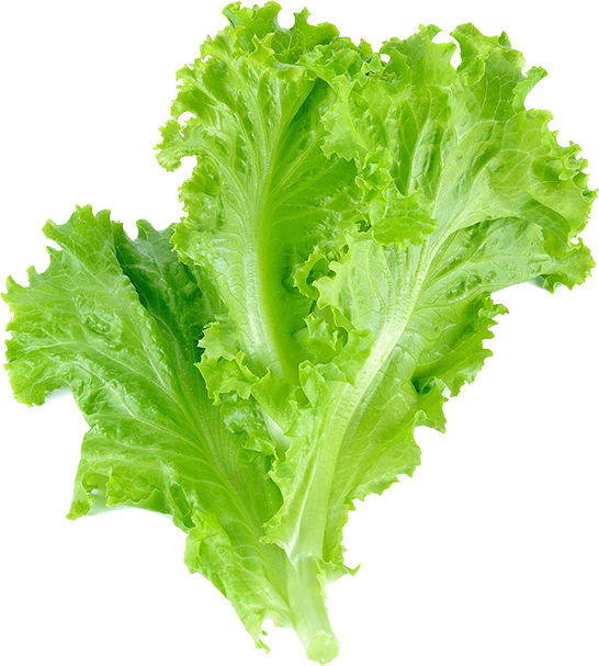 Pide Deryası